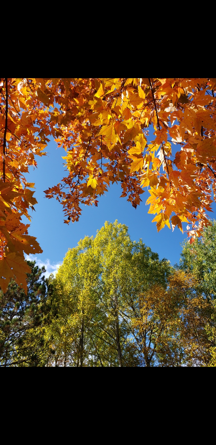 Photo Credit: Derek Lemke, Theme: Seasons in East Ferris