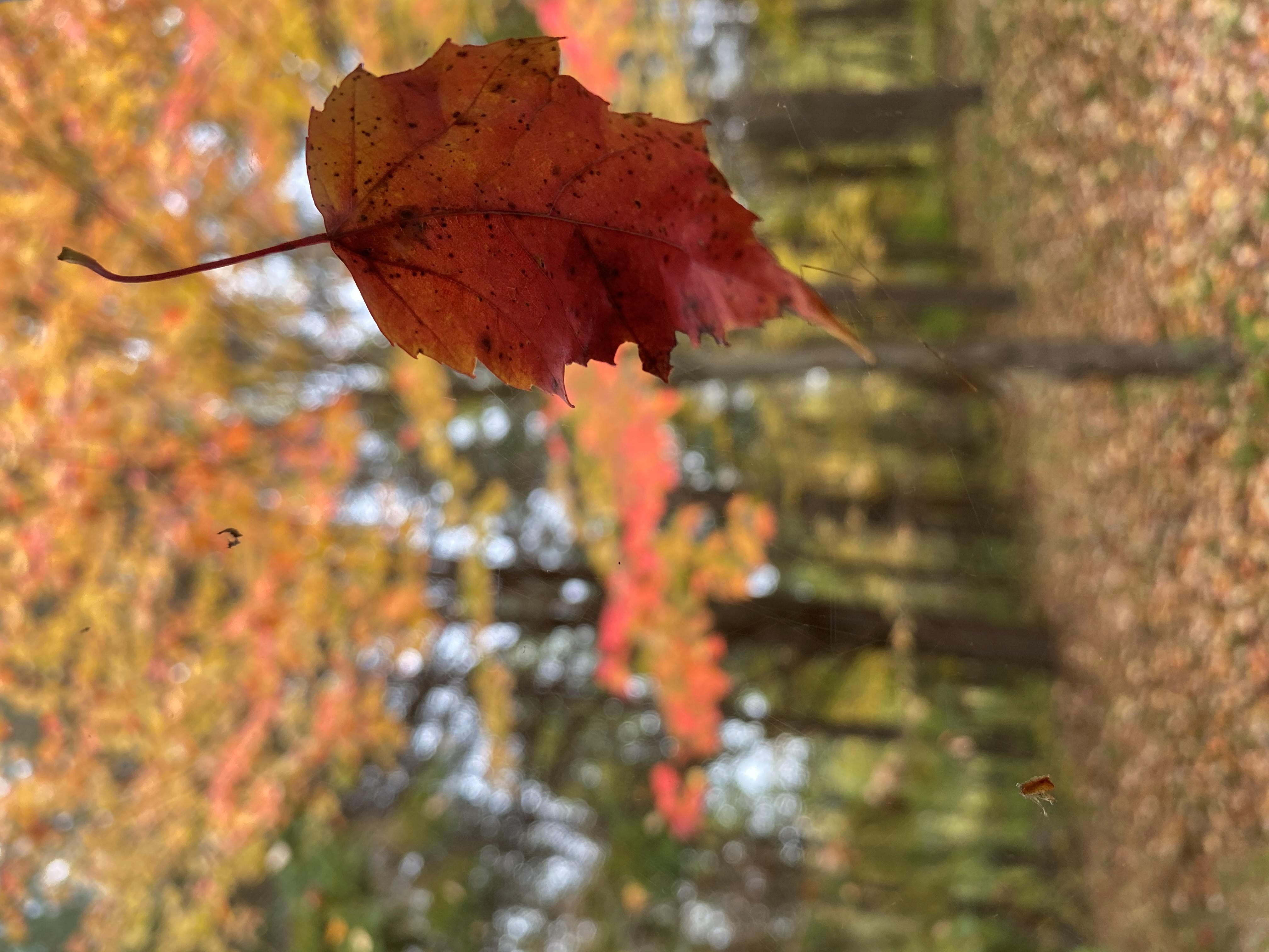 Photo Credit: Josée Lefebvre, Theme: Landscapes & Nature