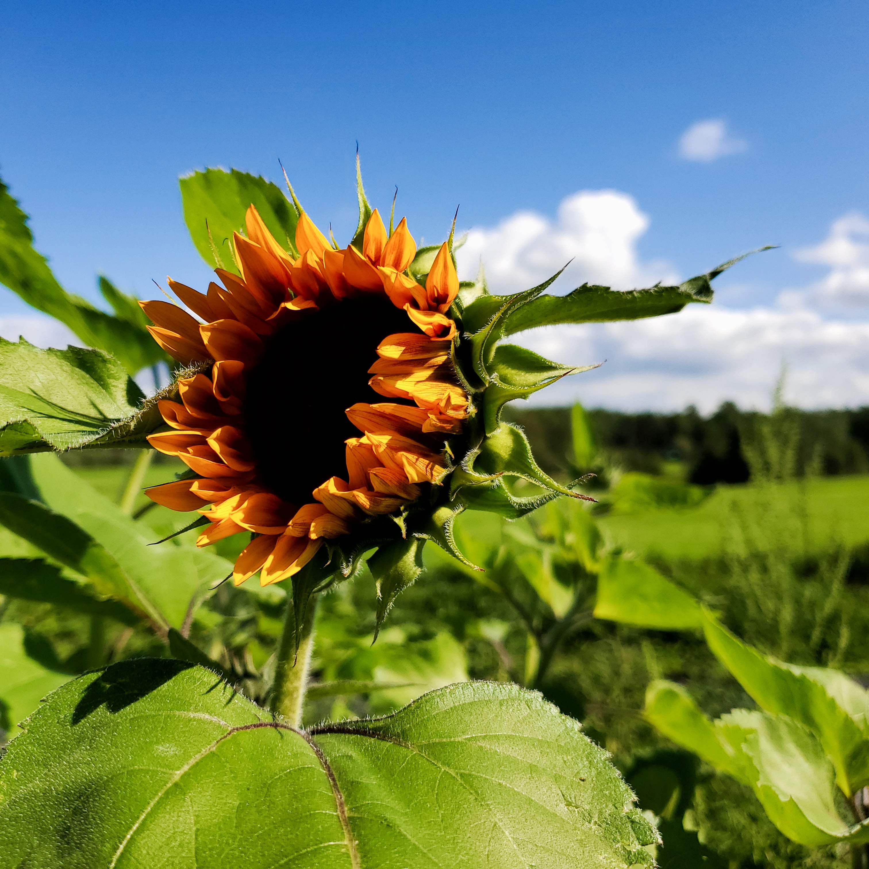 Photo Credit: Colleen Lacourse, Theme: Landscapes & Nature