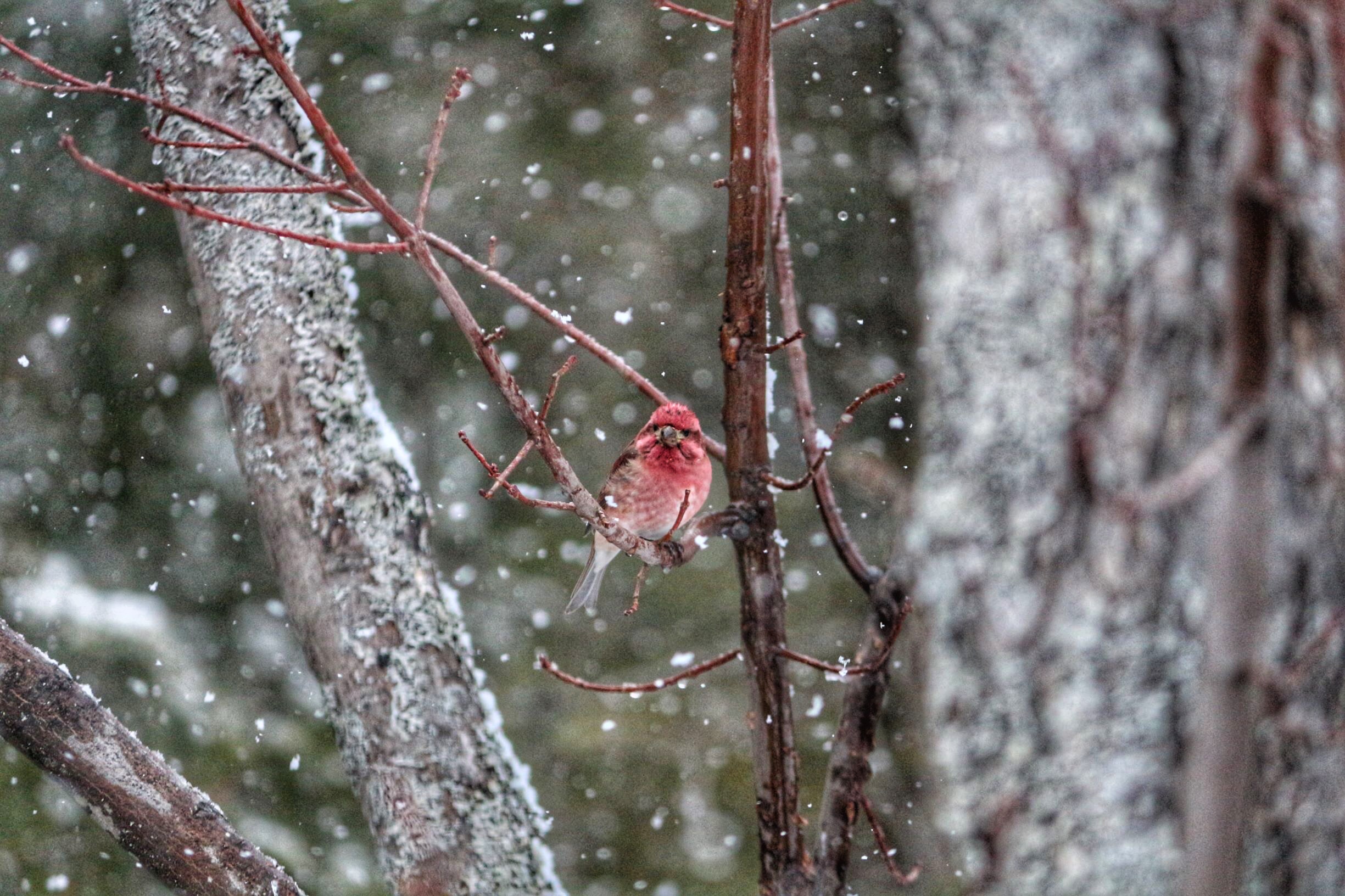 Photo Credit: Julie Blair, Theme: Landscapes & Nature